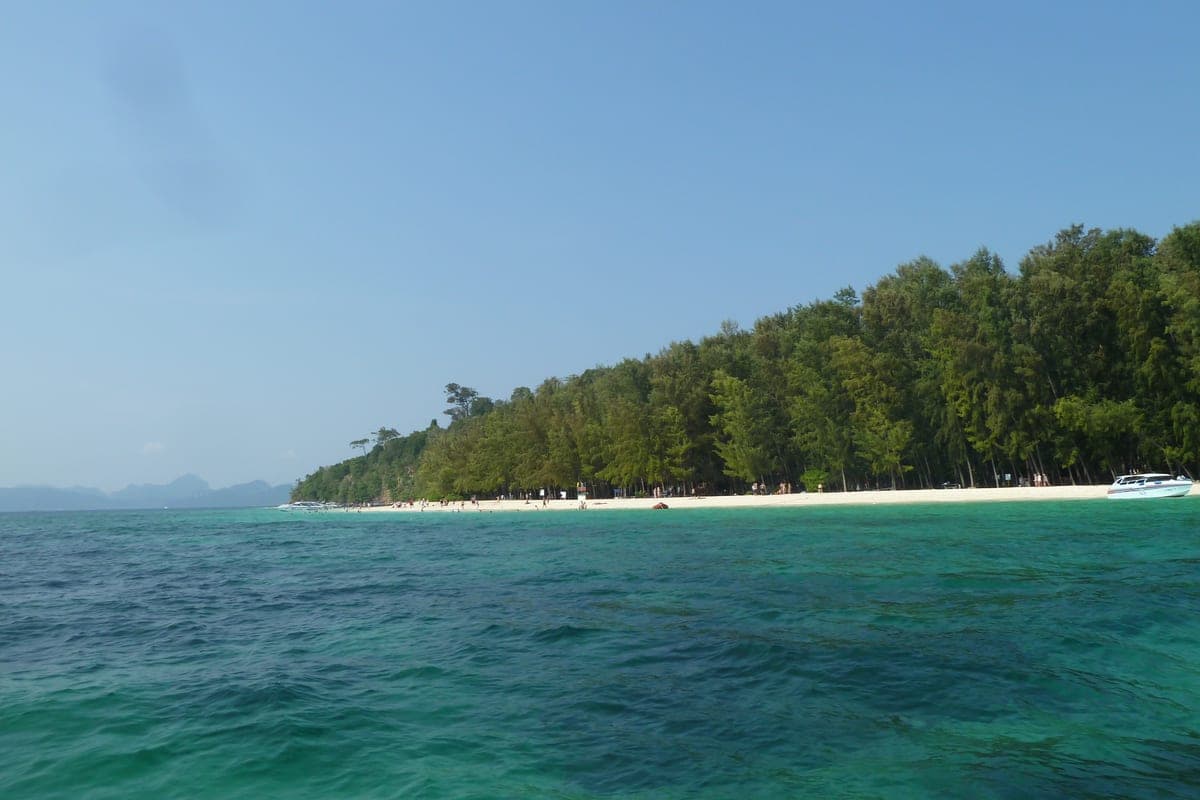 Bamboo Island